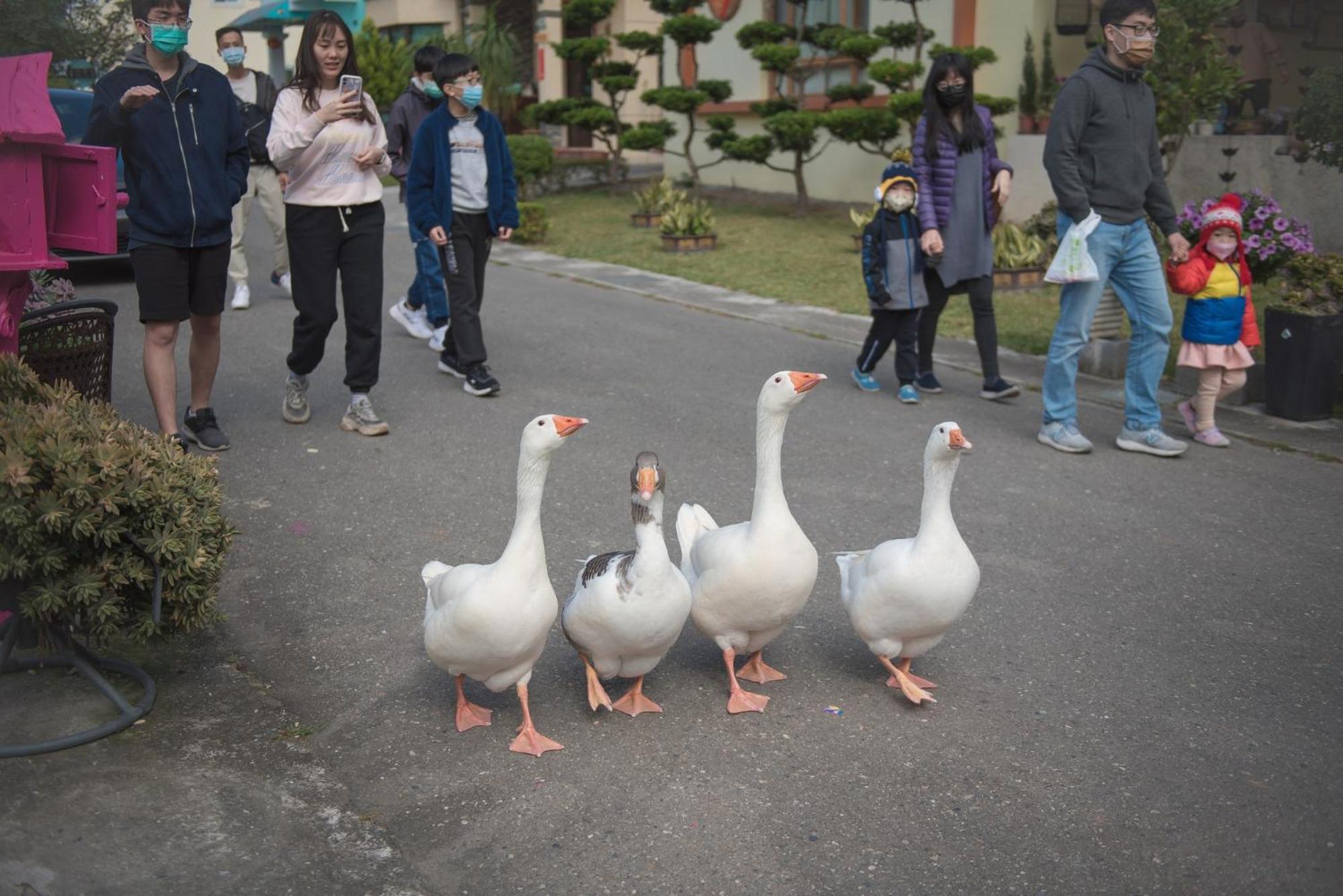 Taiping 幸福旅行舍公寓 外观 照片